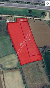 Aydın Efeler Kızılcaköy’de 13.206 M² Satılık Tarım Arazisi!