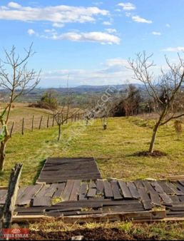 Kocaeli Kandıra Ağaçağılde Satılık Fırsat Tarla Ceviz Bahçesi