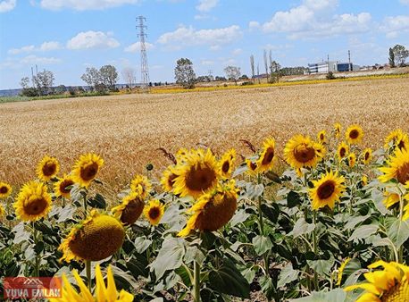 Kırklareli Vize'de Devlet Mahallesinde Satılık Arsa Uygun Fiyat