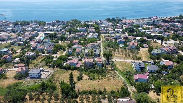 Erdek Ocaklar Mahallesinde Kadastro Yoluna Cephe 2.050m² Satılık Zeytinlik