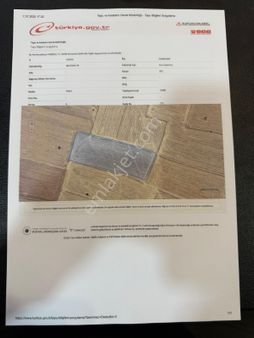 Satılık Tarım Arazisi – Konya Kadınhanı Meydanlı Köyü