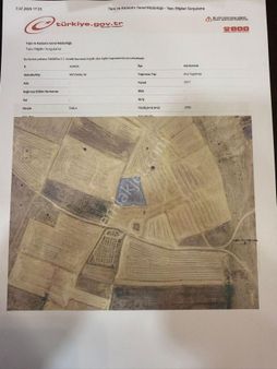 Satılık Tarım Arazisi – Konya Kadınhanı Meydanlı Köyü