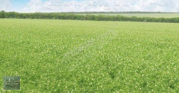 Aksu Altıntaş Geleceğin En İyi Yatırımı