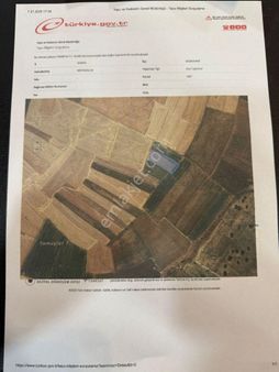 Satılık Tarım Arazisi – Konya Kadınhanı Meydanlı Köyü