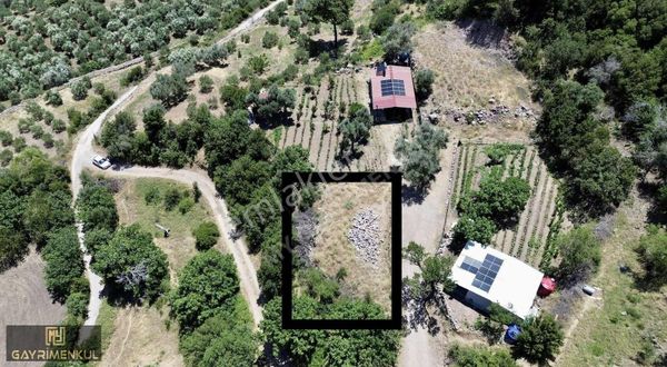 Eğridere Köyünde Yeri Yolu Açılmış 316 M2 Tarla