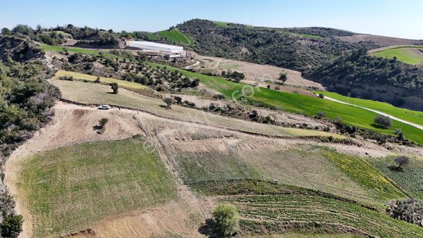 930 Metre Kare Etrafı Çevrili Hisse