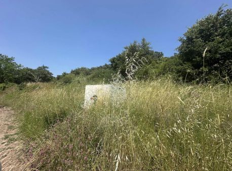 Balıkesir İvrindi Çukurlar 6.472m2 Arazi