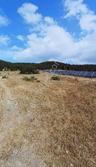 İzmir Bergama Koyuneli 24.000 M2 Enerji Üretimi İçin Arazi