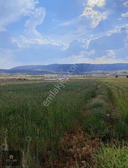 Yatırımlık Uygun Pirim Yapacak Yer