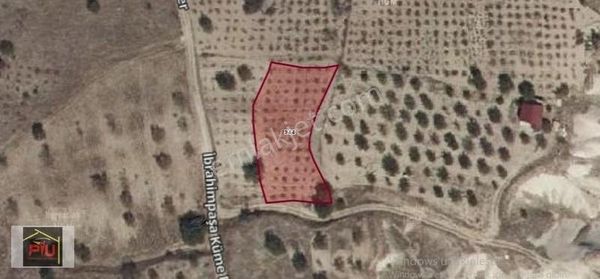 Ürgüp İbrahimpaşa Satılık Bağ