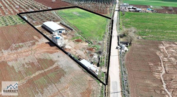 Kiliste Asvalt Üstü Satılık Çiftlik 14.700 M2 Ev Ahır Hazır