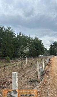 Doğa İle İçiçe İzmir Menderes Yeniköy Mah.220 M2 Hisseli Zeytinlik