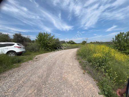 Menderes Bulgurca Mahallesinde 7540m2 Müstakil Parsel Satılık Zeytin Tarlası
