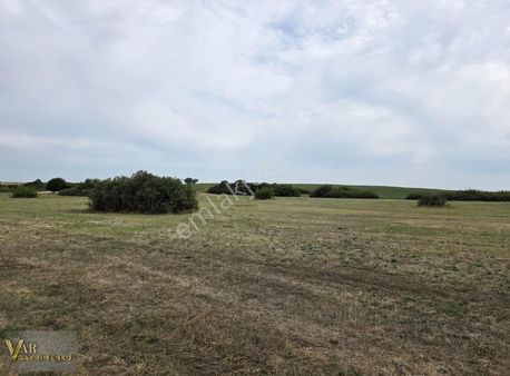 Tekirdağ Kapaklı Uzunhacı Da Satılık Tek Tapu 1.287m2 Tarla