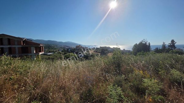 Yalova Koruköyde Satılık Arsa