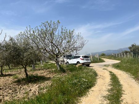 Torbalı Gazi Mustafa Kemal Mah.5840m2 Satılık Zeytinli Tarla