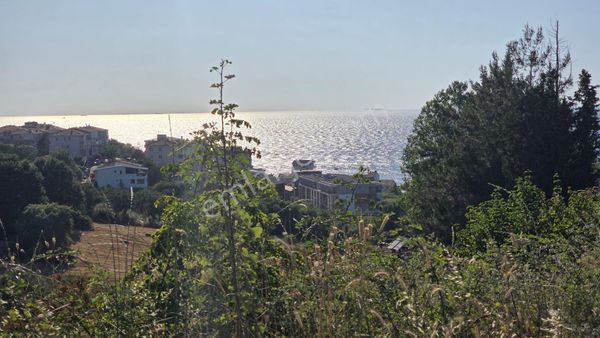 Yalova Çınarcık Koruköyde Satılık Arsa