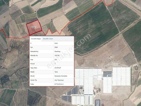 Demirtaş Mahallesinde Satılık Yola Cepheli Tarla (10.933m²)