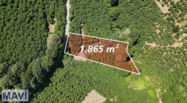 Sakarya Hendek Harmantepede Satılık İmarlı 1865m² Arsa.