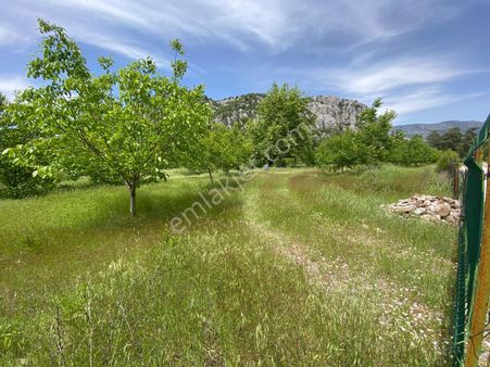 Akseki Taşlıca Ana Yola Yakın Fırsat Tek Tapu Bahçe Acil Satılık