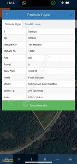 Sakarya Kocaali Yeni Mahallede 4400m2 Fındık Bahçesi