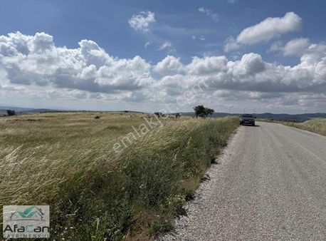 Balıkesir Şamlı'da Asfalt Yola Cephe 12.350 M2 Arazi!