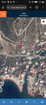 Kapaklı Köy İmarlı Zeytinlik