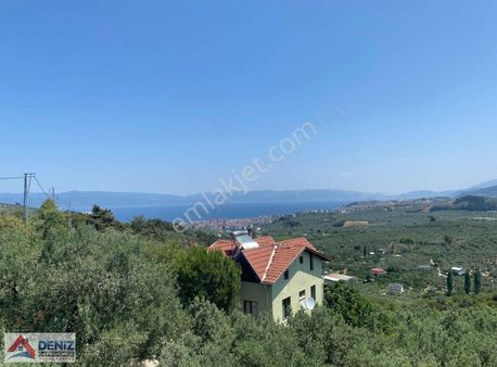 Mudanya Yörükali'de Deniz Manzaralı 5+1 Ev Ve Zeytinlik