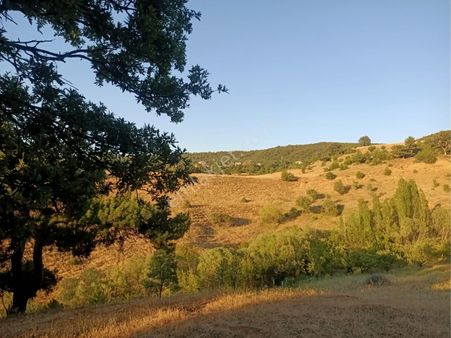 Çavdar Emlak’tan Satılık Orman İçinde Bahçe