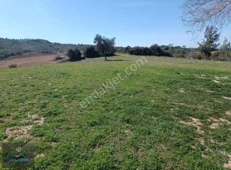 ++selanik'ten Kırıklı/örcün Mevki 547 Metrekare Satılık Hisse++