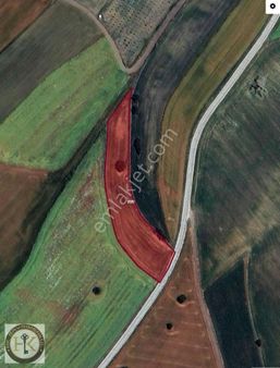 Tekirdağ Çorlu Şahpaz 2.142 M ² Satılık Arsa