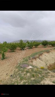 Korkuteli Aşağıkaraman Yaylasında Satılık Tarla