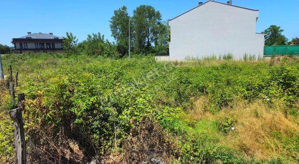 Gülyalı Turnasuyu'nda Yatırımlık Fırsat!