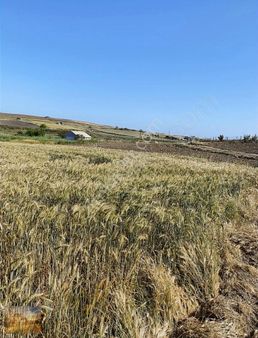 İstanbul Silivri Değirmenköy Satılık 266m2 Tarla