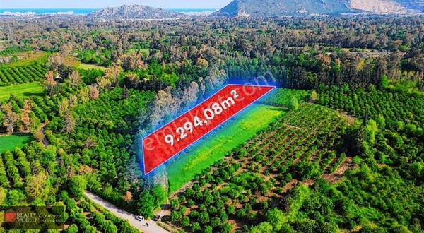 Bahtılı'da İmar Sınırında Değerli Yatırım Fırsatı Tek Tapu