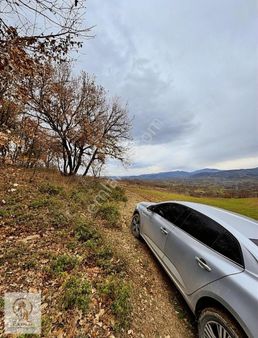 Kadastrol Yola Cepheli Yatırımlık Hobi Bahçesi