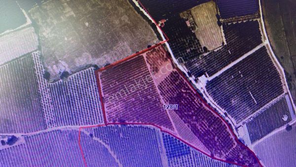 Çerçi Emlak'tan Mantaş'ta Satılık Tarla