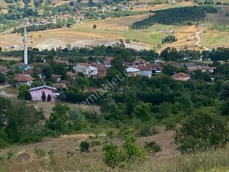 Kandıra Kubuzcu Köyün De Ceviz Bahçesi