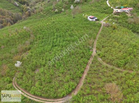 Tapuhane'den Bıçkıatik Mah.6,400m2 Satılık Bahçemiz
