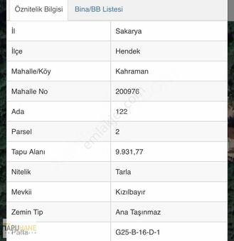 Tapuhaneden Manzaralı 10 Dekar Fındıklık + Ev