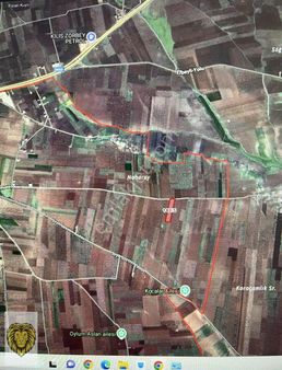 Uçar Emlaktan Satılık Fıstıklık Ve Zeytinlik