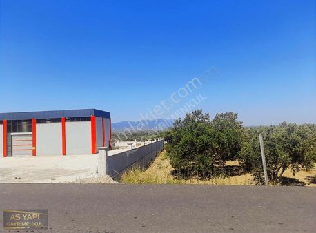 Manisa Şehzadeler Aşağı Çobanisa Asfalta 60 M2 Cepheli 7100 M2