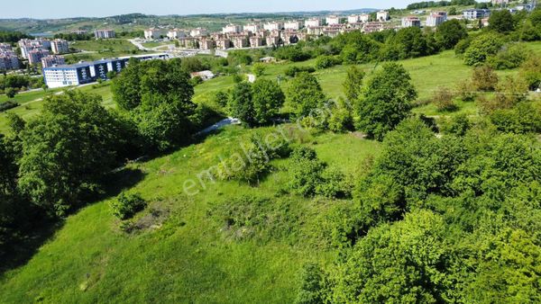 Sakarya Adapazarı Korucuk Mahallesi Nde