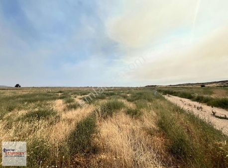 İzmir Foça Yenibağarası Elektrik Suyu Hazır 400 M2 Satılık Arsa