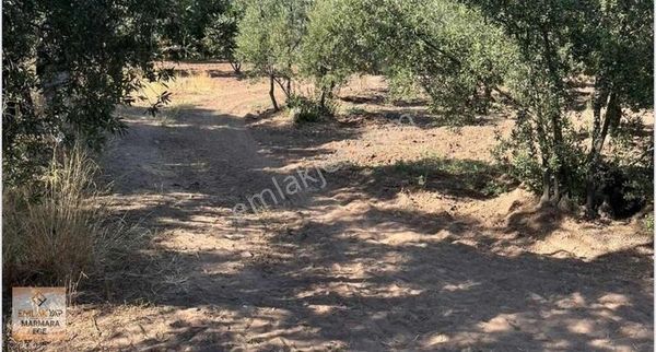 Arsa Değil Fırsat Satıyoruz! Denize 160 M, Tiny Housea Uygun