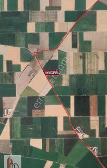 Develioğlu Gayrimenkulden Zile Mahallesinde Satılık Arazi Tarla