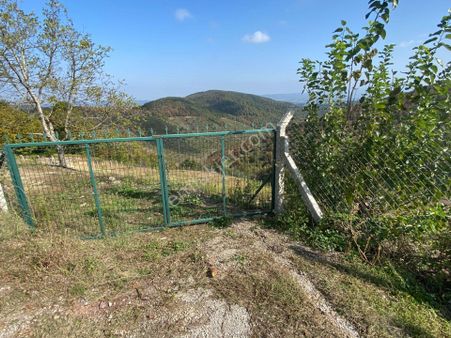 Yalova Altınova Sermayecik'te 5085 M2 Satılık Tarla