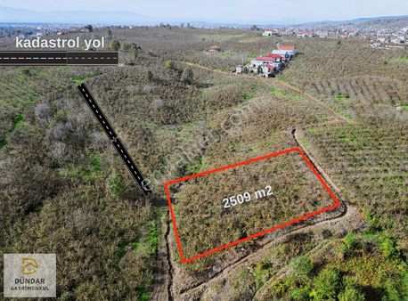 Dündar Gayrimenkul'den Cıpcıp Da Fındıklık İmara Yakın