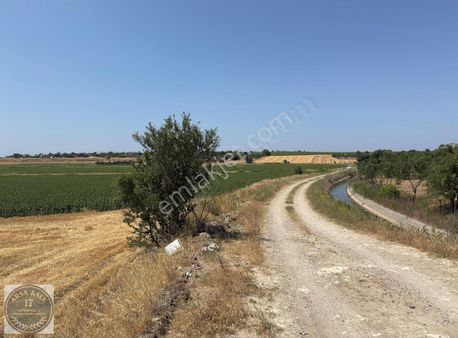 Kalafat Köyünde 18700m2 Yatırımlık Tarla