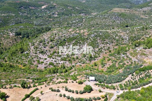 Alanya Gözübüyük’te 30.316 M² Satılık 6 Parsel Tarla